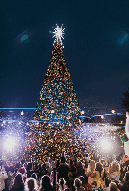 Santa Christmas Tree Lighting at The Collection