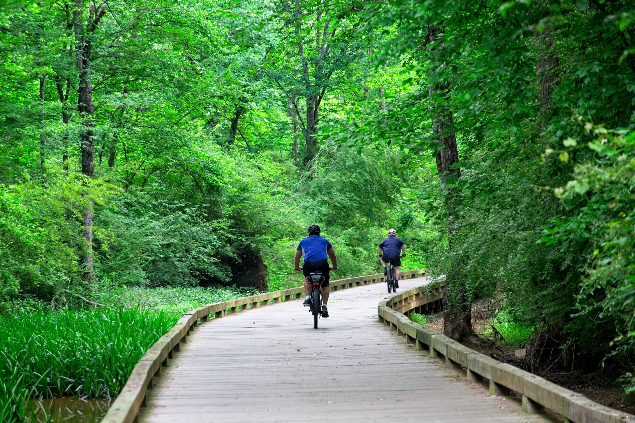 A cyclist on the Big Creek Greenway in Forsyth County