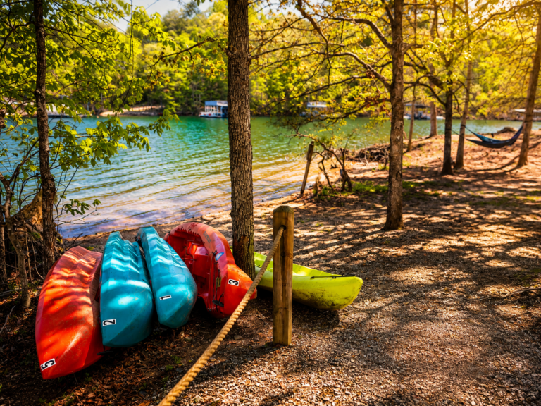 Kayaks lined up on the shore under trees at Lake Lanier