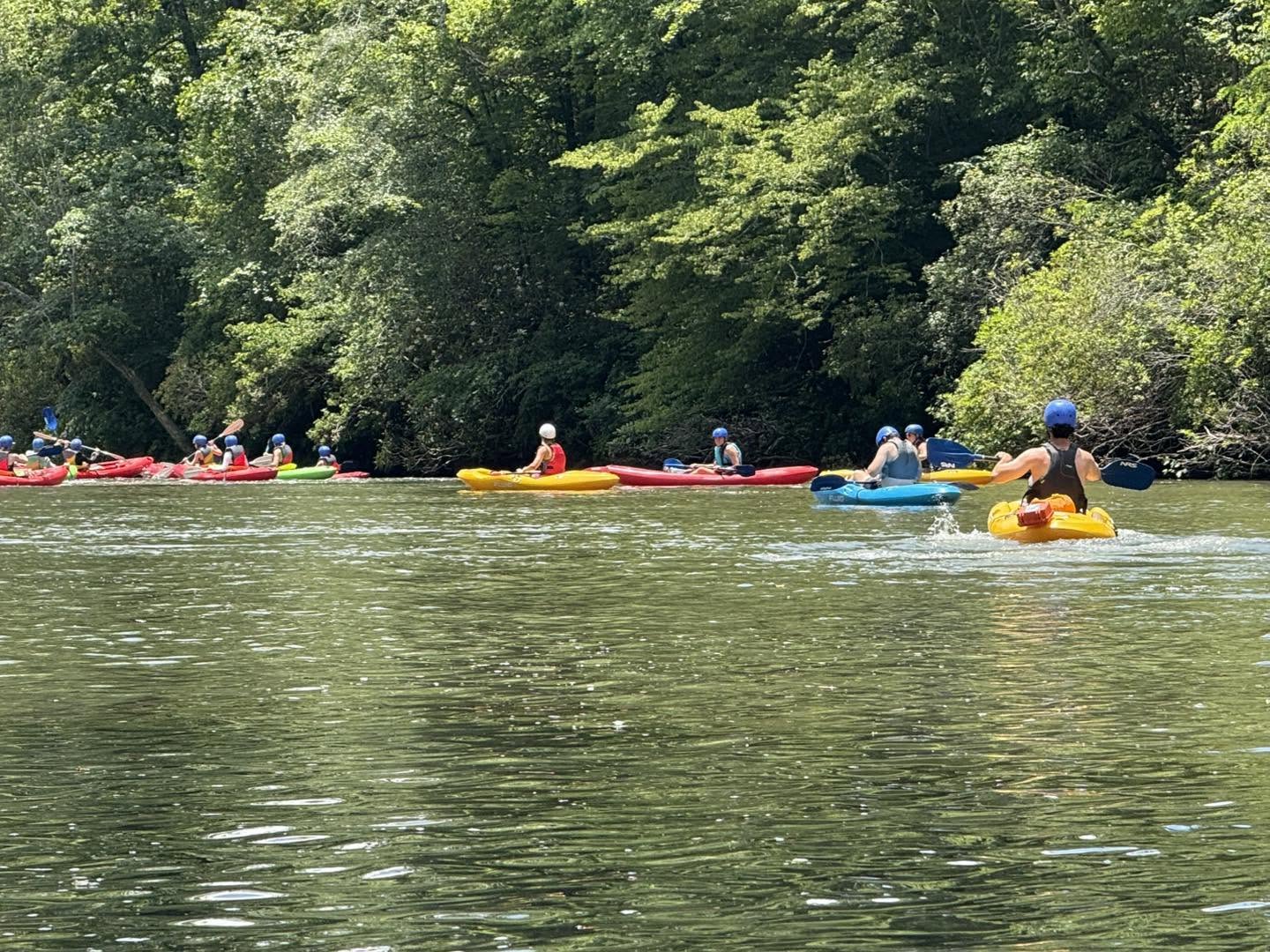Kayak rentals on Lake Lanier lined up at the shoreline