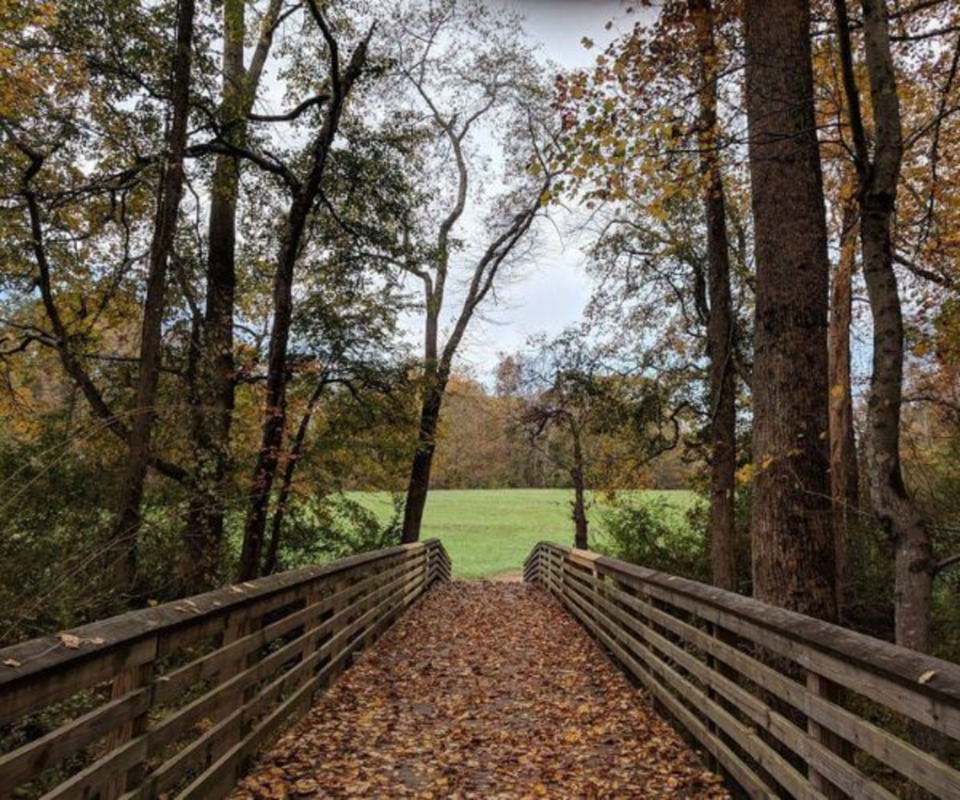 Caney Creek Preserve Trail