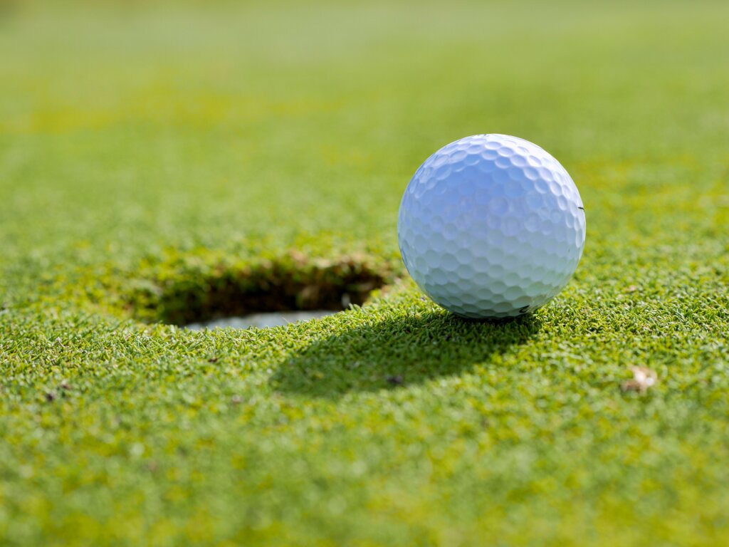 Stock photo: golf ball resting by the cup on a putting green. Not an image of this business.