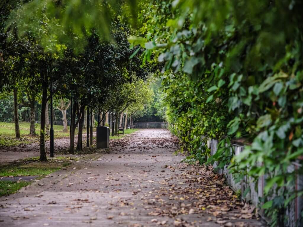 Stock photo: Peaceful pathway through a park lined with trees. Not an image of this business.