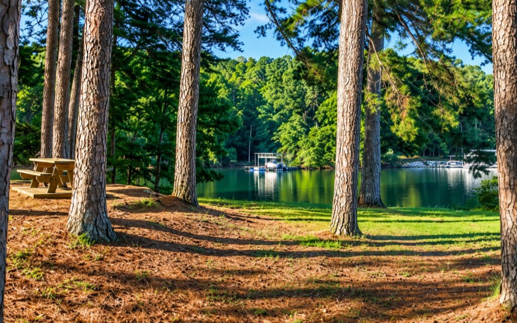 Young Deer Creek Park in Cumming, GA